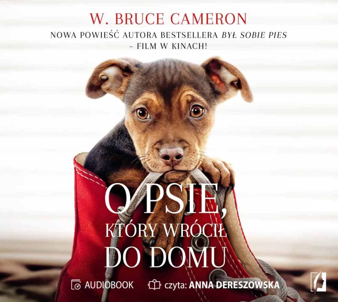 O psie który wrócił do domu książka - wzruszająca historia lojalności